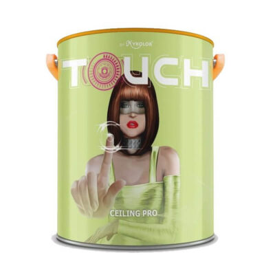 MYKOLOR TOUCH CLEILING PRO